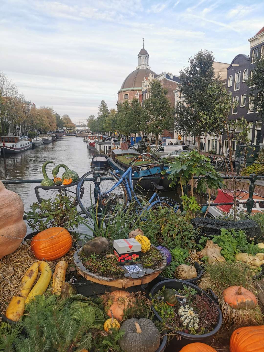 Traditional Dutch food and drinks tasting in Amsterdam