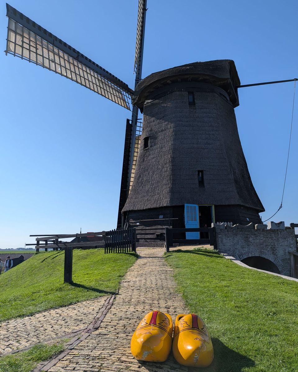 Yellow wooden clogs in front of a thatched Dutch windmill